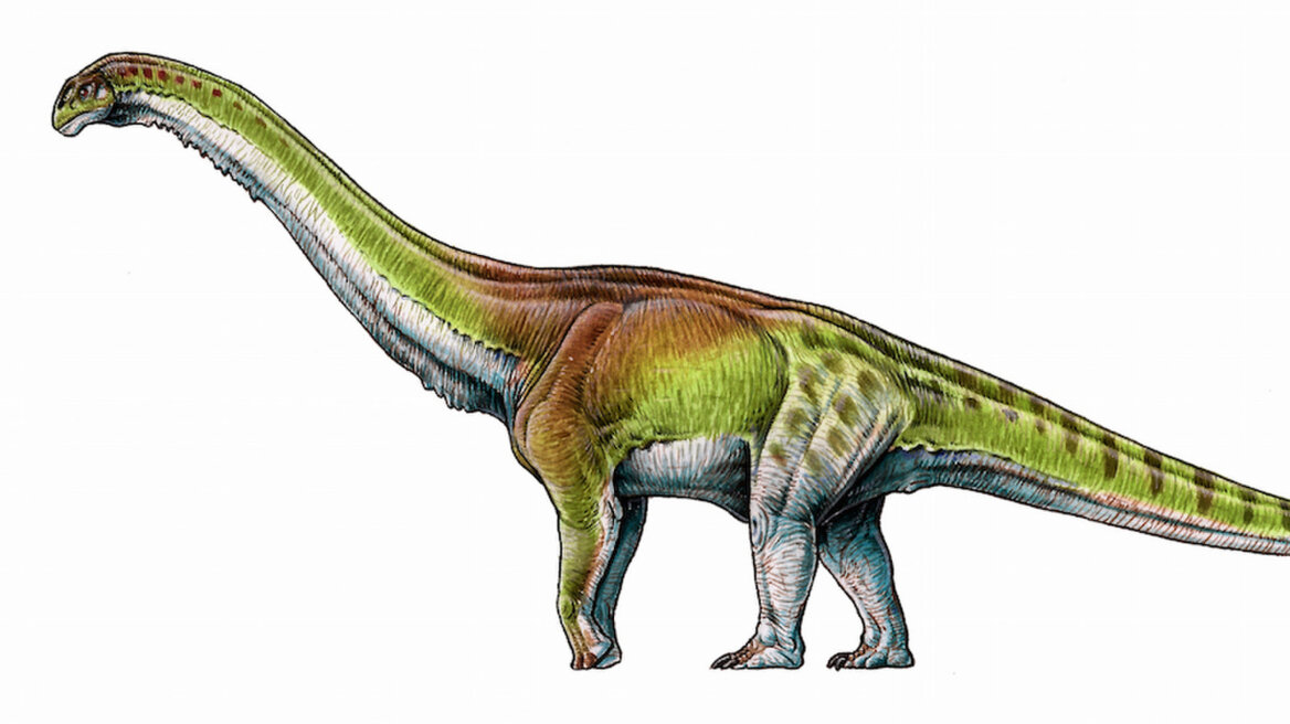 Ο μεγαλύτερος δεινόσαυρος που έζησε ποτέ είχε μήκος 37 μέτρων!