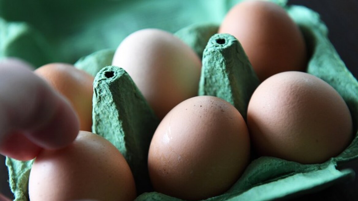 Ολλανδία: Συλλήψεις δύο υπόπτων στο πλαίσιο της έρευνας για τα μολυσμένα αυγά