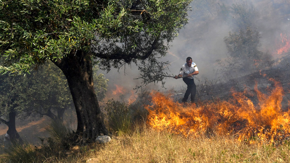Ανεξέλεγκτη καίει η φωτιά στα χωριά της μειονότητας στην Αλβανία
