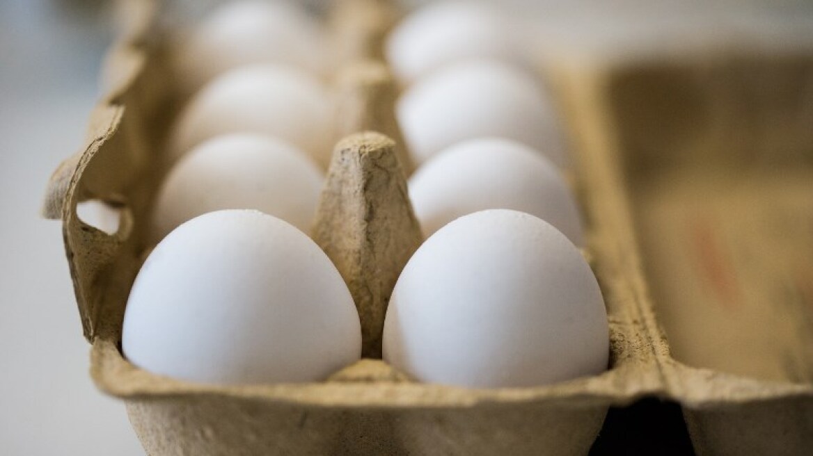 ΕΕ: Αυτές είναι οι 15 χώρες στις οποίες έχουν κυκλοφορήσει μολυσμένα αυγά