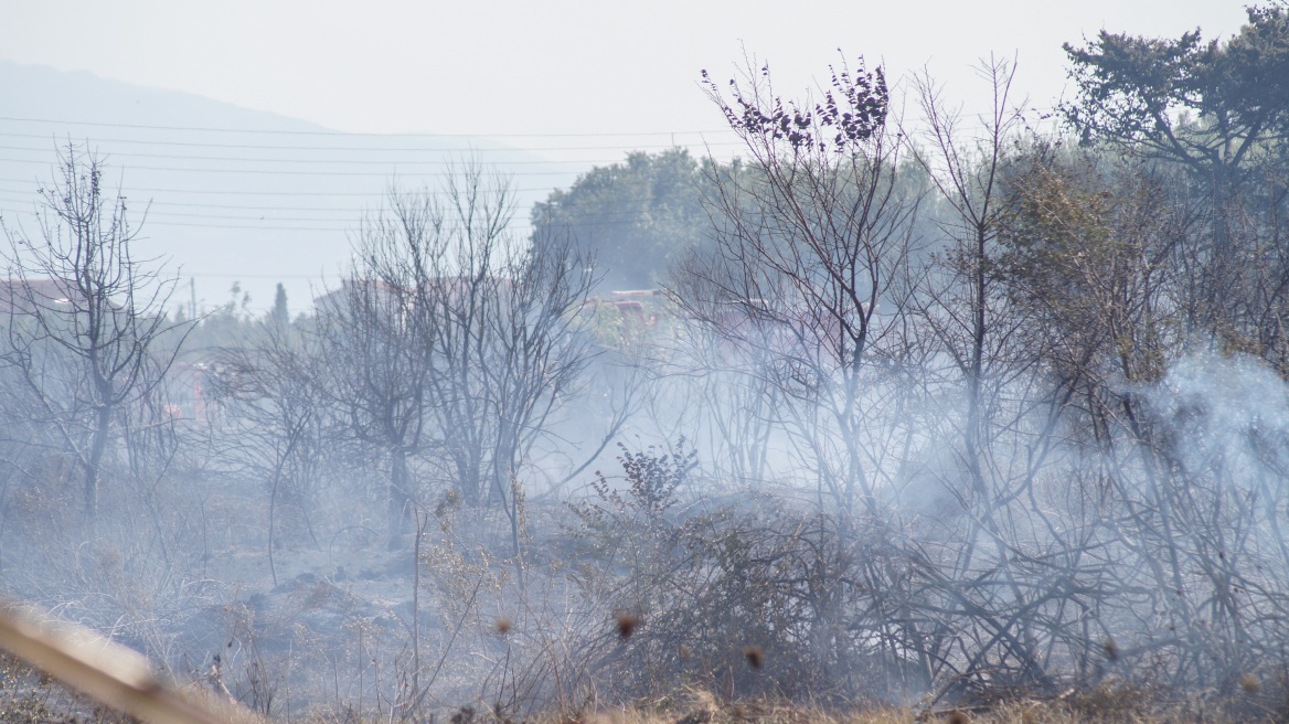 Πέρασαν στην Ελλάδα οι φωτιές από την Αλβανία