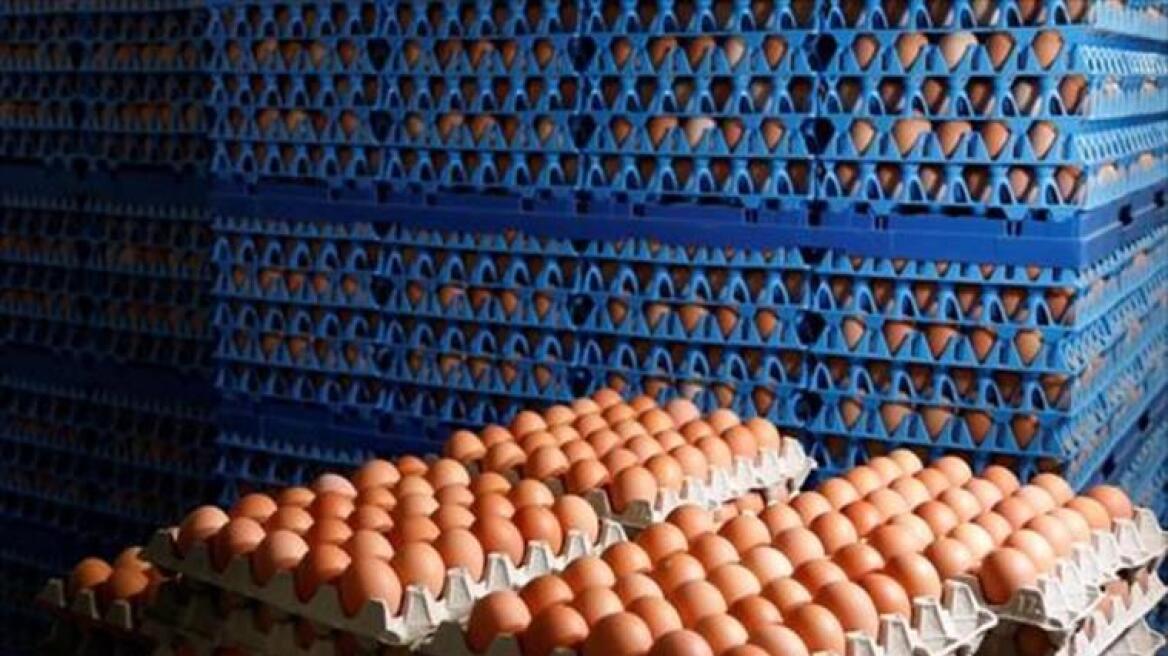 Παρτίδα με 20.000 μολυσμένα αυγά εντοπίστηκε στην Ισπανία