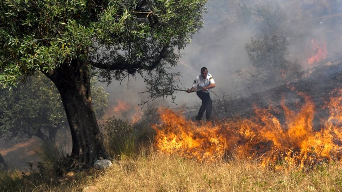 Θεσπρωτία: Μαίνονται ακόμα οι πυρκαγιές που «πέρασαν» από την Αλβανία