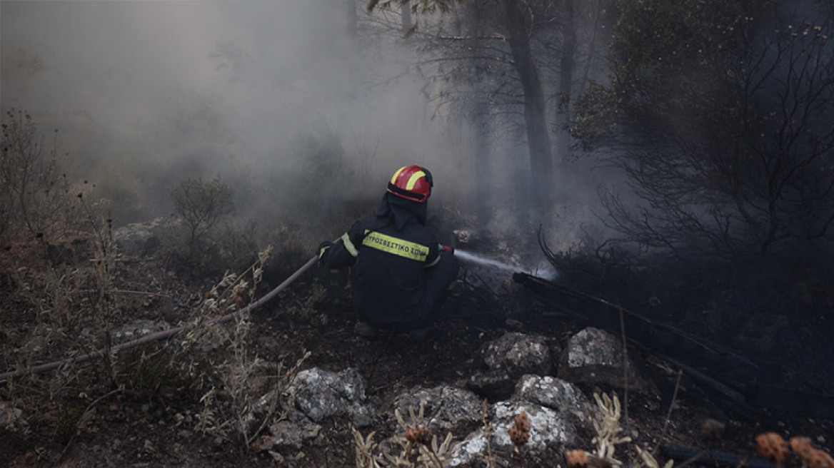 Πυροσβεστική για Καπανδρίτι: Η φωτιά δεν ελέγχεται 