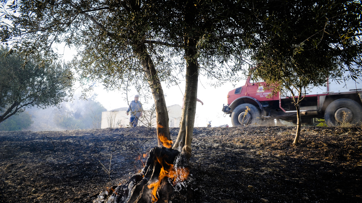 Σε πλήρη έλεγχο η πυρκαγιά στο Περιστέρι Ηλείας