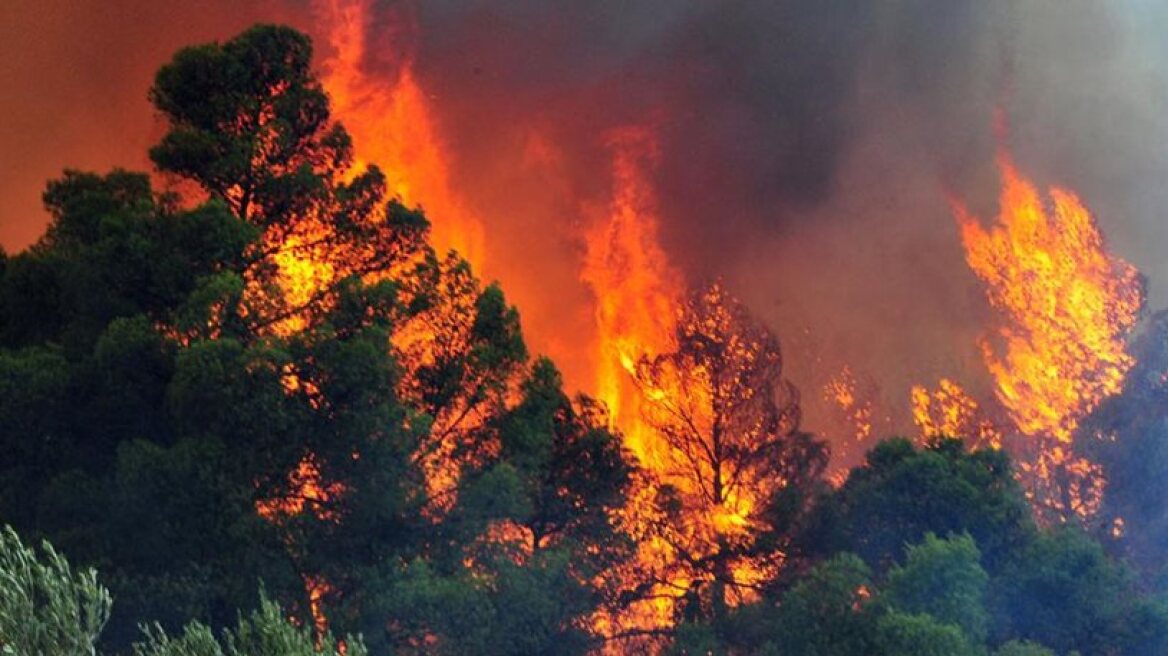 Κρήτη: Ξέσπασε φωτιά σε δασική έκταση στο Ηράκλειο