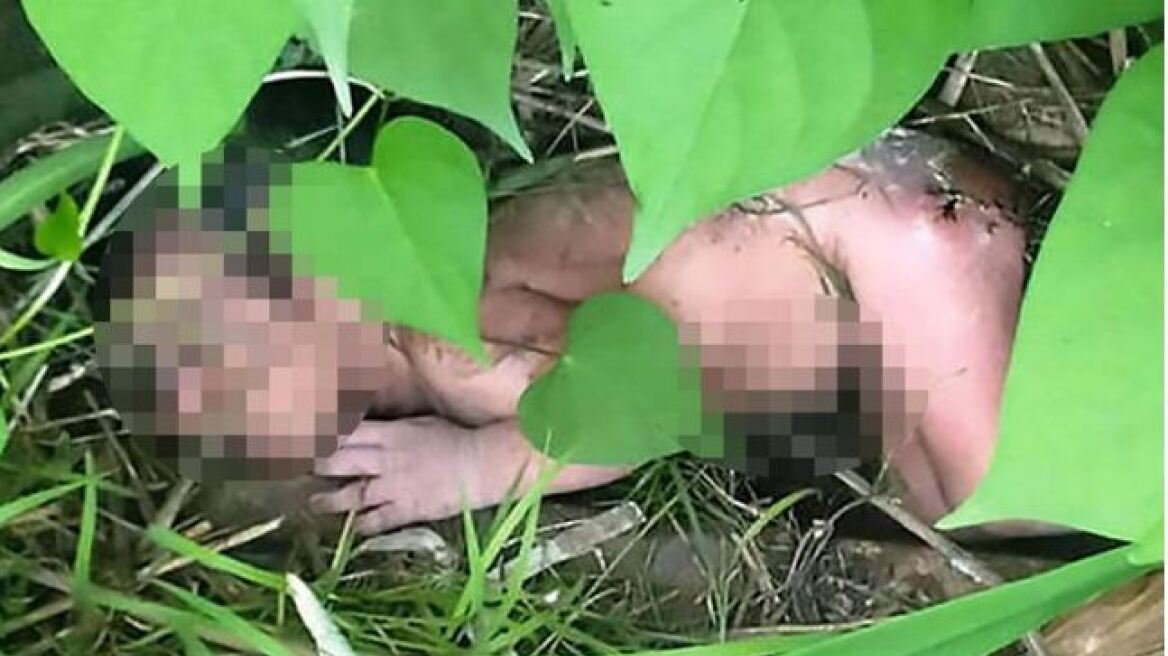 Εικόνες σοκ: Πέταξαν νεογέννητο κοριτσάκι σε θάμνο με αγκάθια για να πεθάνει