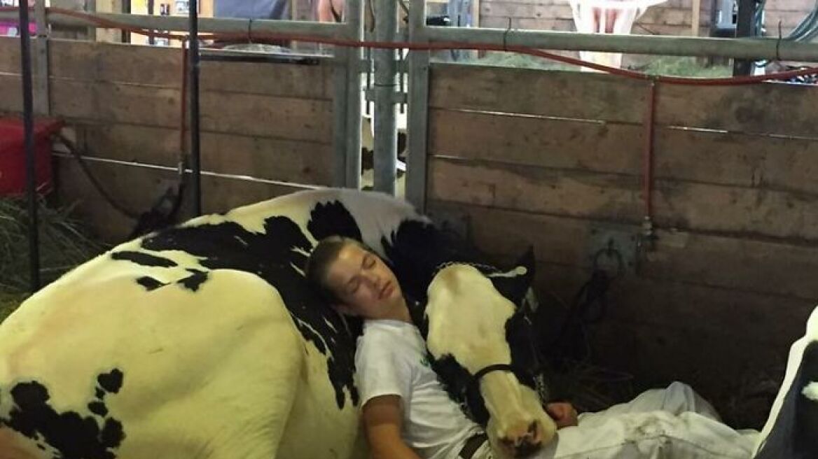 Η φωτογραφία του εξαντλημένου αγοριού και της αγελάδας που έγινε viral