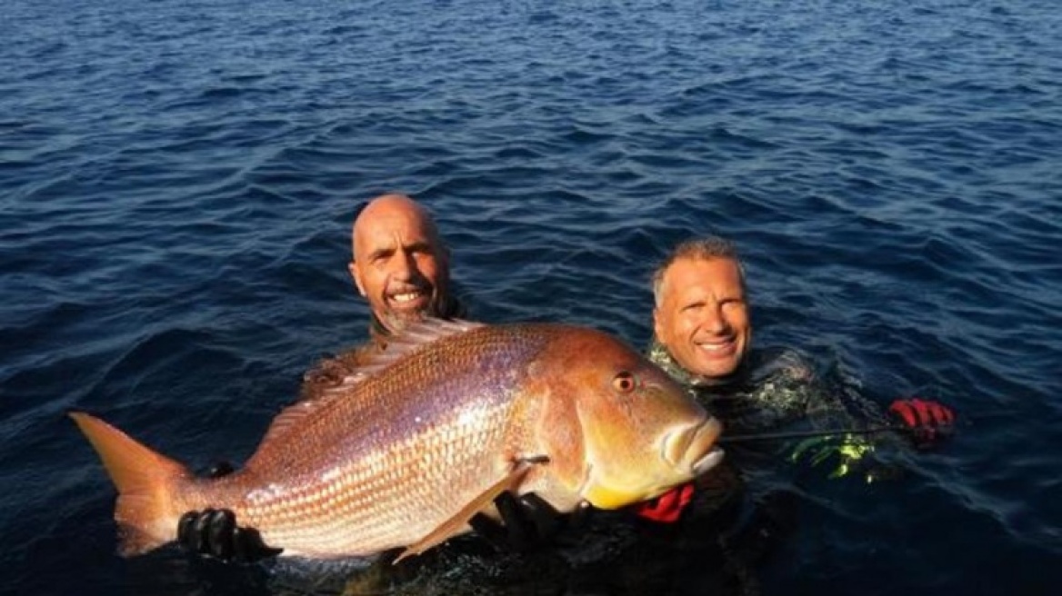 Χίος: Δείτε τη συναγρίδα 11 κιλών που χάρισε το παγκόσμιο ρεκόρ σε Έλληνα ψαροντουφεκά!