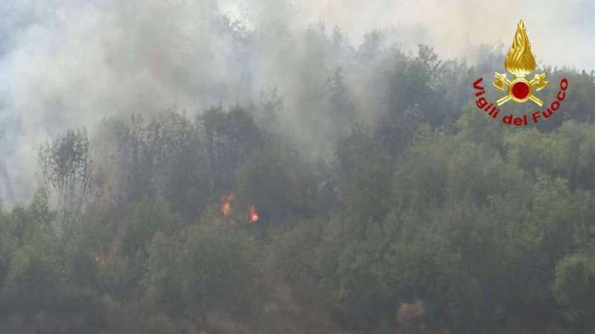 Ιταλία:  Κάηκαν τα δέντρα που σχημάτιζαν τη λέξη Dux - αναφορά στον Μουσολίνι
