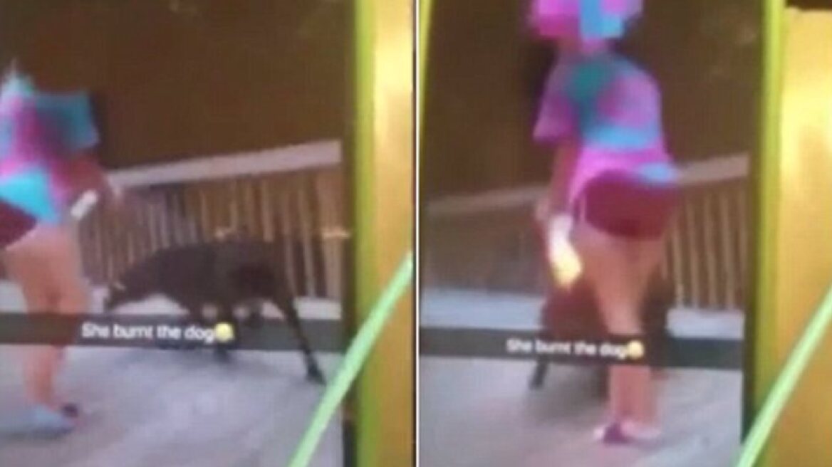 Shocking footage of girl trying to set fire to dog (disturbing video)