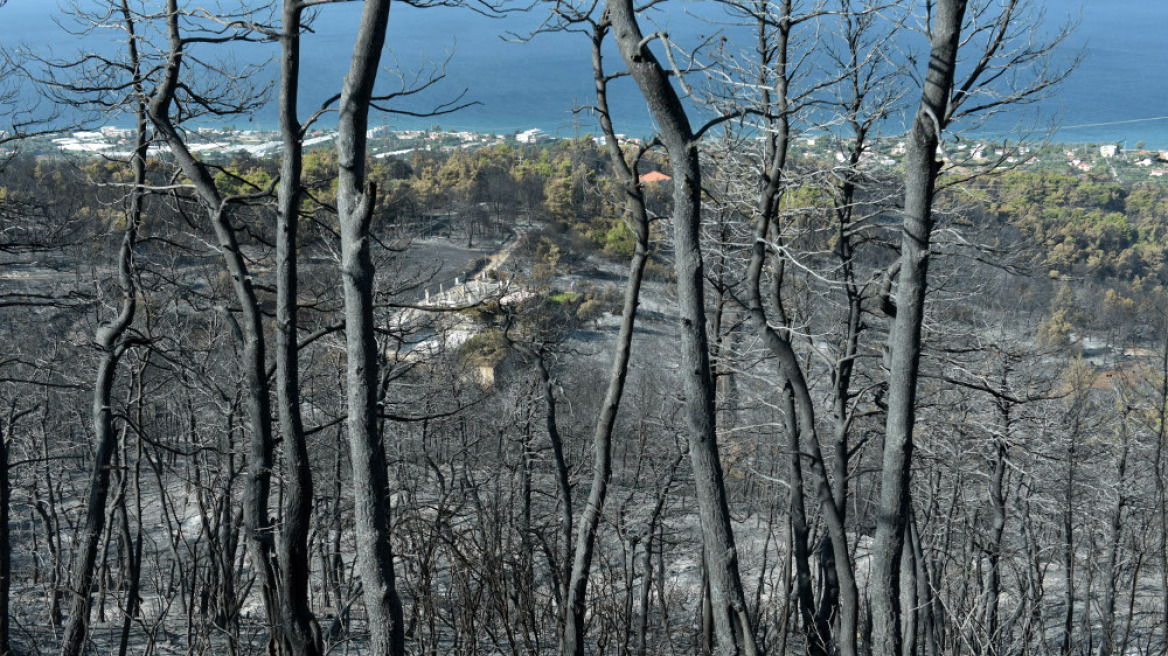 Ζάκυνθος: Κριτική στην κυβέρνηση άσκησαν βουλευτές της ΝΔ για τις πυρκαγιές