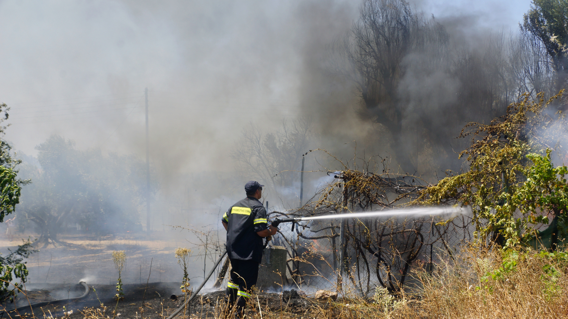 Εύβοια: Υπό μερικό έλεγχο η πυρκαγιά στην Ιστιαία 