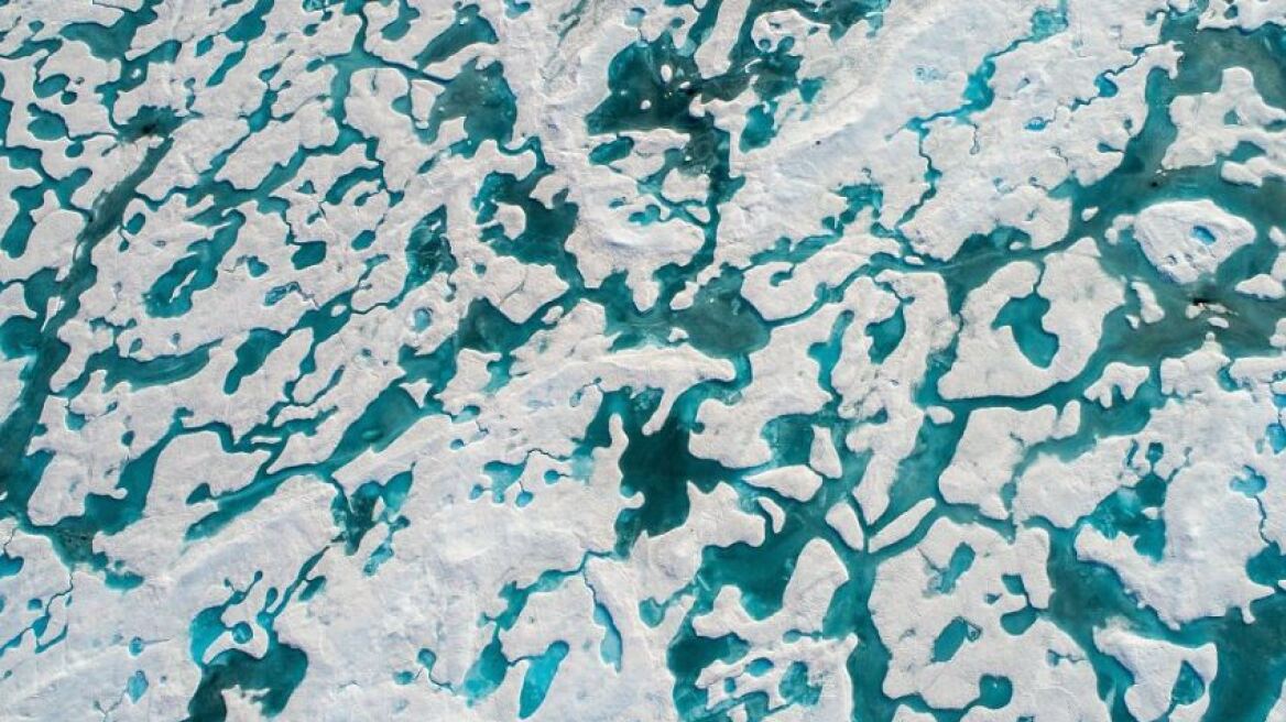 Βρες την πολική αρκούδα! Εντυπωσιακές εικόνες από την Αρκτική που λιώνει