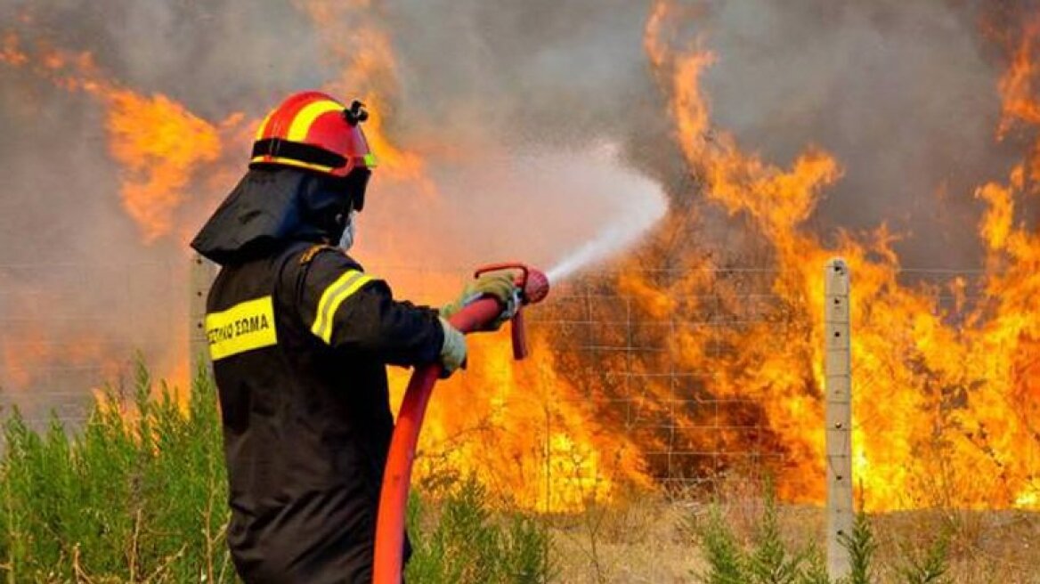 Συναγερμός στην Πυροσβεστική: Πυρκαγιά στον Κουβαρά Αττικής