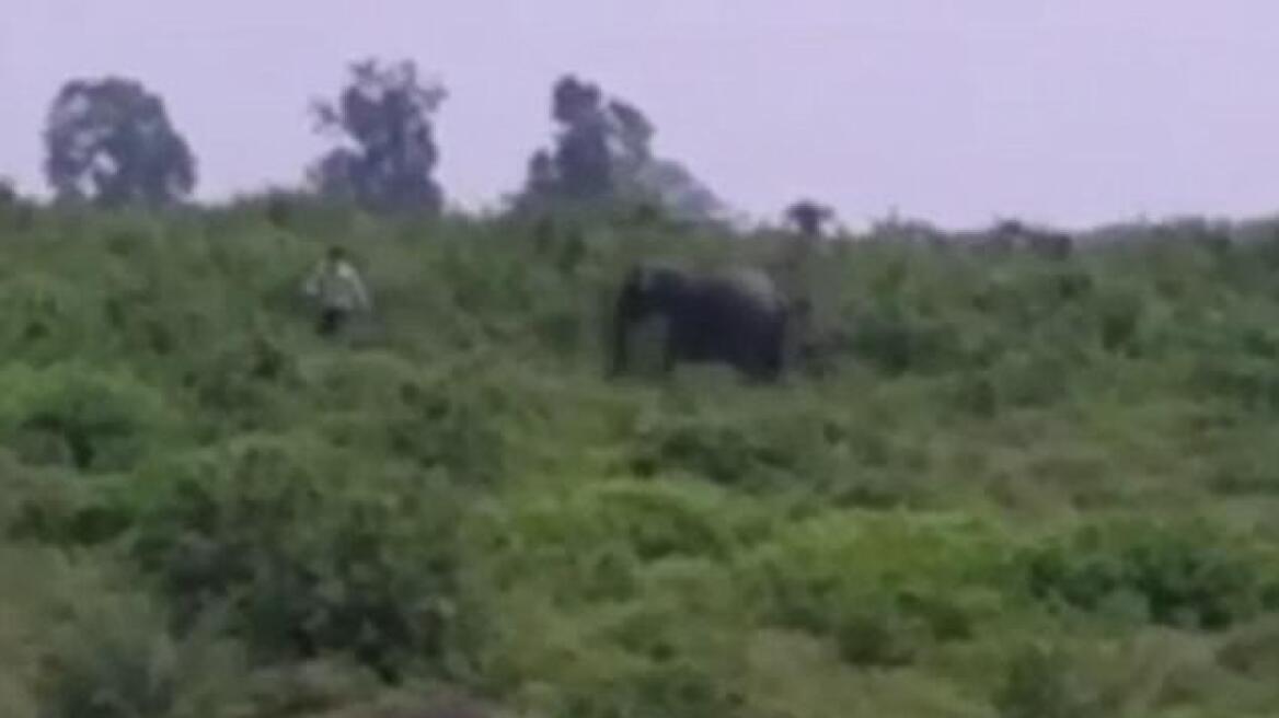 Σοκαριστικό βίντεο: Ελέφαντας ποδοπάτησε άνδρα που πήγε να βγάλει selfie μαζί του