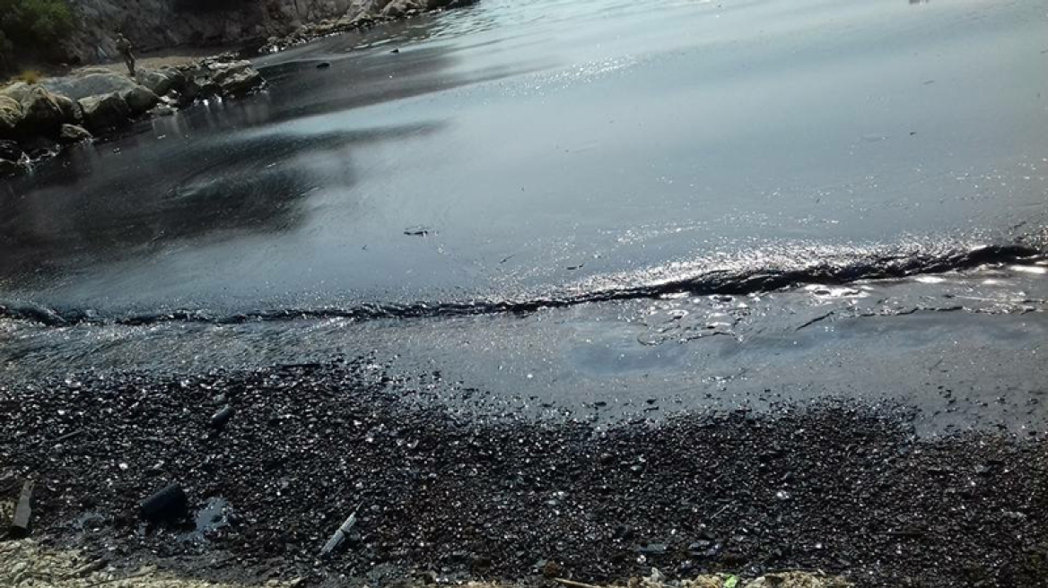 Oil spill near Salamis an ecological catastrophe, says Mayor (video-photos)