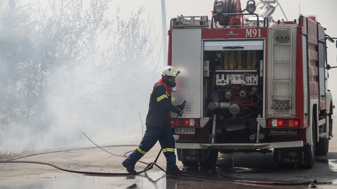 Υπό μερικό έλεγχο η φωτιά σε δάσος πάνω από το υπαίθριο θέατρο της Ζακύνθου