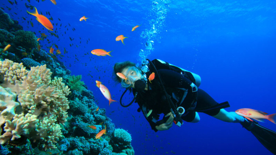 Diving parks on 4 islands of the South Aegean