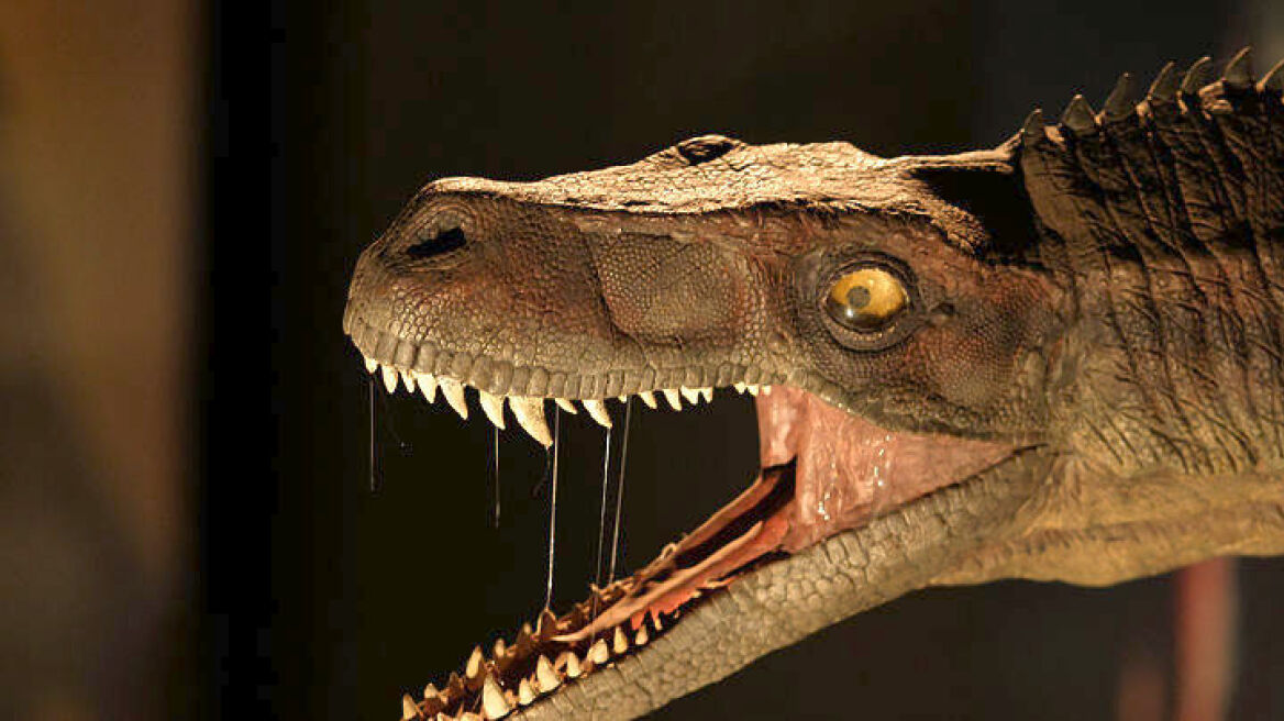 Το Jurassic Park στον χώρο της Διεθνούς Έκθεσης Θεσσαλονίκης