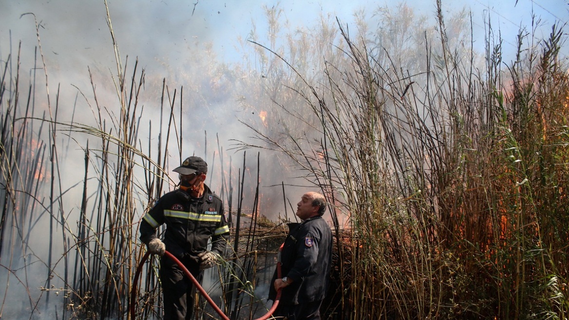 Πυρκαγιά στην Κασσάνδρα Χαλκιδικής