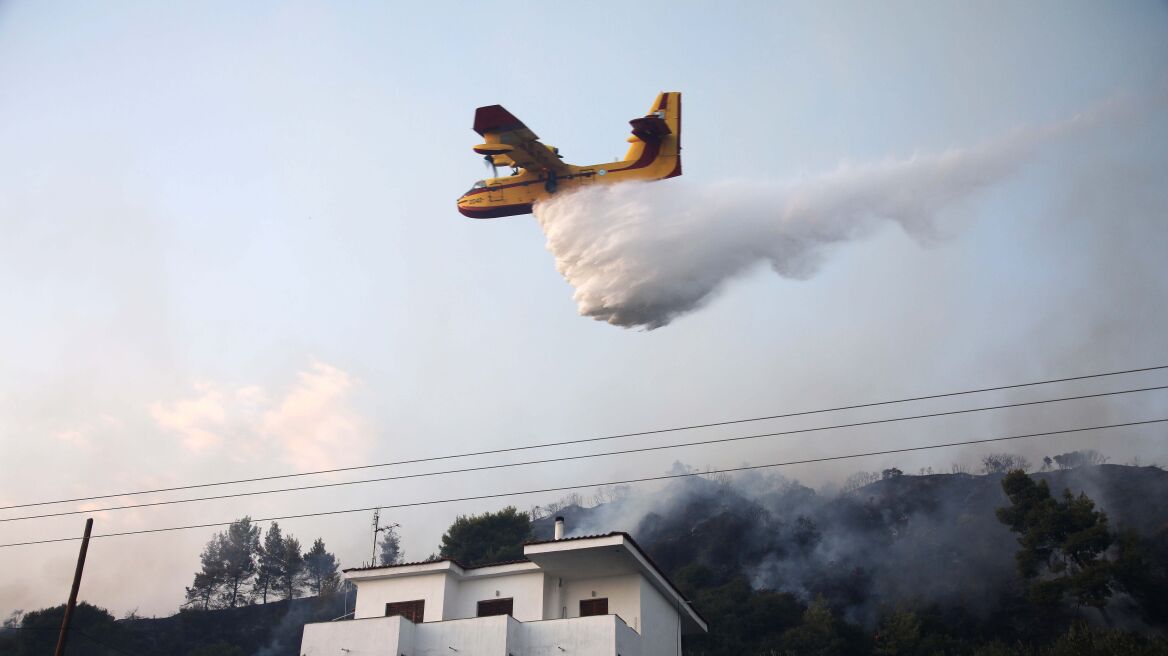 Κάηκαν 1.500 στρέμματα στην Χαλκιδική - Υπό μερικό έλεγχο η φωτιά