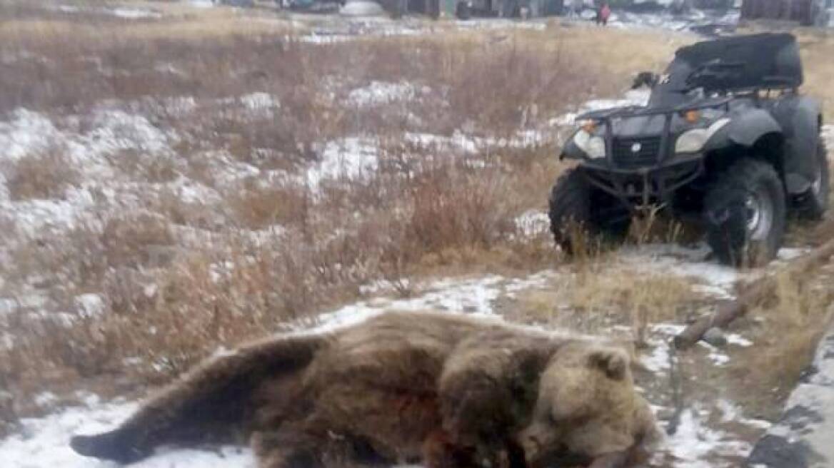 Φρικτός θάνατος για 6χρονο στη Ρωσία: Τον κατασπάραξε αρκούδα
