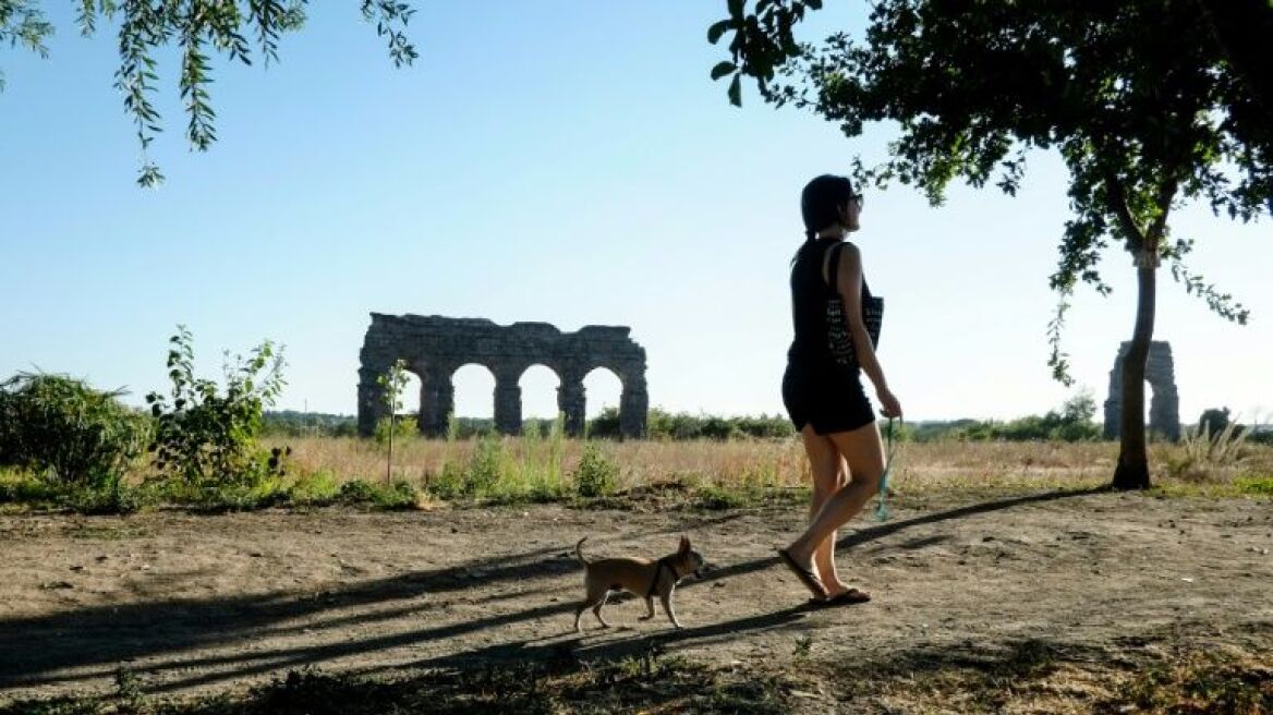 Πρώτη φορά στα χρονικά: Ιταλίδα πήρε άδεια μετ' αποδοχών για να φροντίσει... τον άρρωστο σκύλο της
