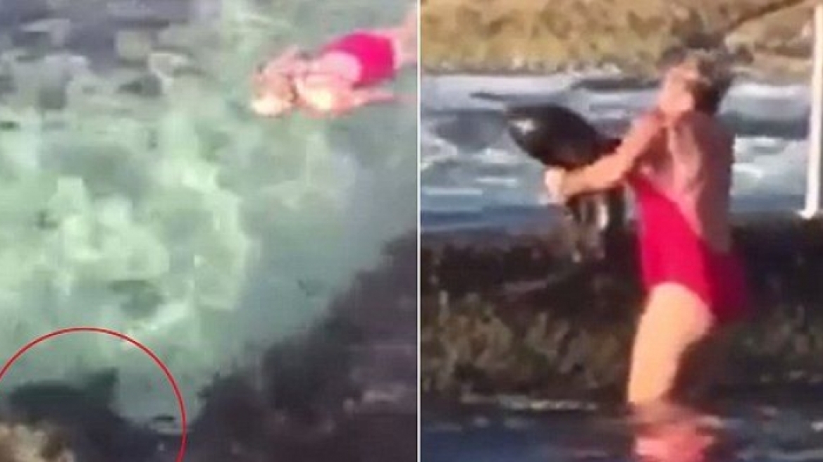 Βίντεο: Ατρόμητη γυναίκα πήρε... «αγκαλιά» καρχαρία για να τον σώσει