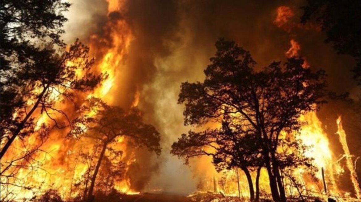 Καλιφόρνια: Στους 35 οι νεκροί από τις πυρκαγιές  -  Στάχτη πάνω από 5.700 σπίτια και επιχειρήσεις 