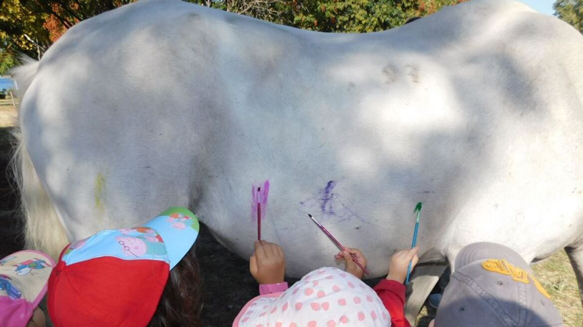 Καταγγελία: Έβαλαν παιδάκια να ζωγραφίσουν πάνω σε ένα άλογο - Τι απαντά ο παιδικός σταθμός 