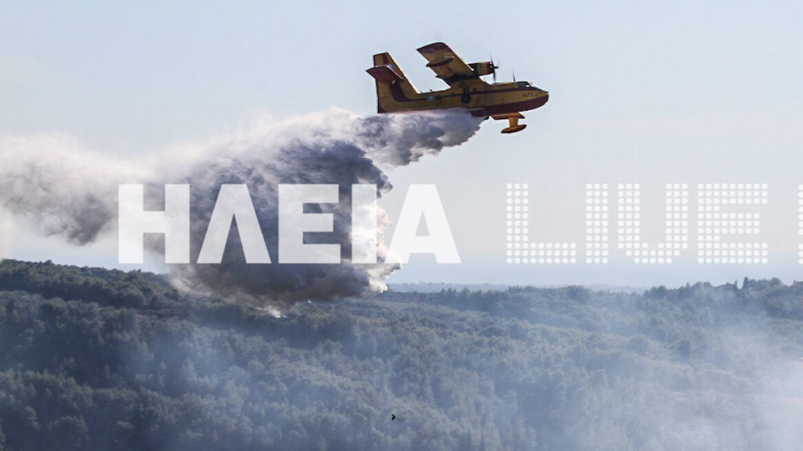 Μεγάλη πυρκαγιά στο δάσος της Νεμούτας, στην Ηλεία