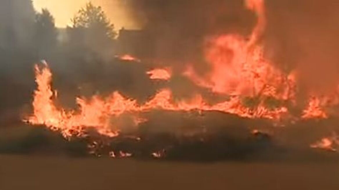 Ανυπολόγιστη η καταστροφή στην Πορτογαλία: Τουλάχιστον 39 οι νεκροί από τις φωτιές