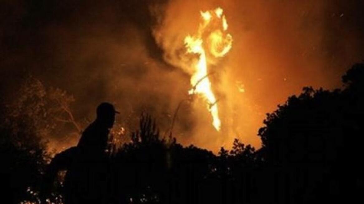 Κρήτη: Πυρκαγιά σε ορεινή περιοχή του Λασιθίου