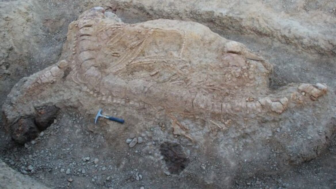 Μεγάλη ανακάλυψη: Ιχθυόσαυρος 152 εκατ. ετών στην Ινδία
