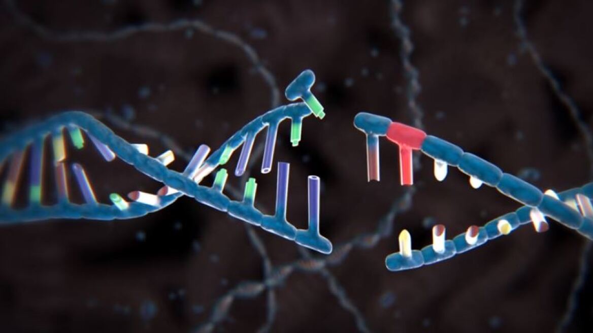 ΗΠΑ: Ανακαλύφθηκαν δύο νέες τεχνικές «χειρουργικής» επεξεργασίας του DNA