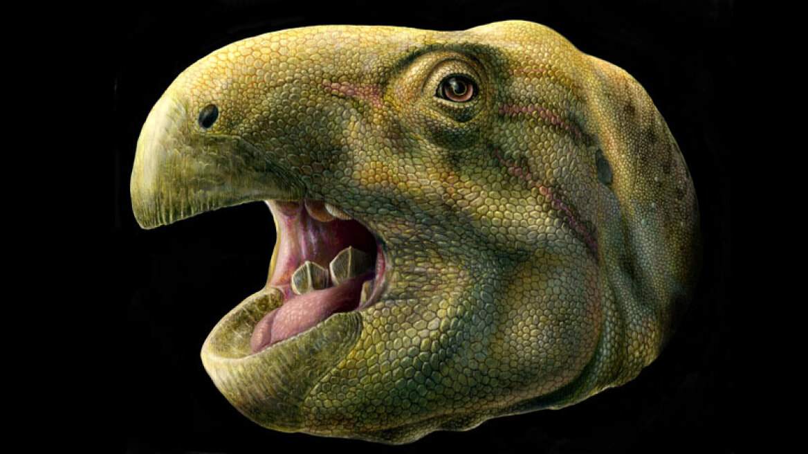 Ανακαλύφθηκε νέο είδος δεινοσαύρου με τεράστια δόντια σαν... λεπίδες