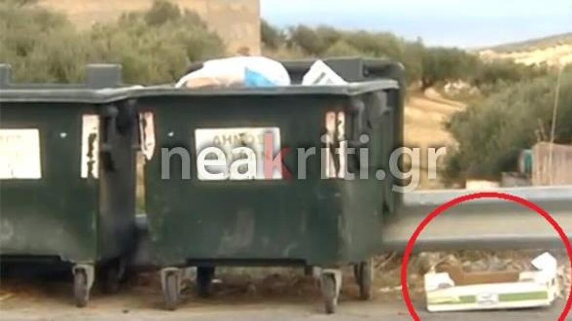Σοκ στο Ηράκλειο: Πολτοποίησαν κουταβάκια και τα πέταξαν στα σκουπίδια 