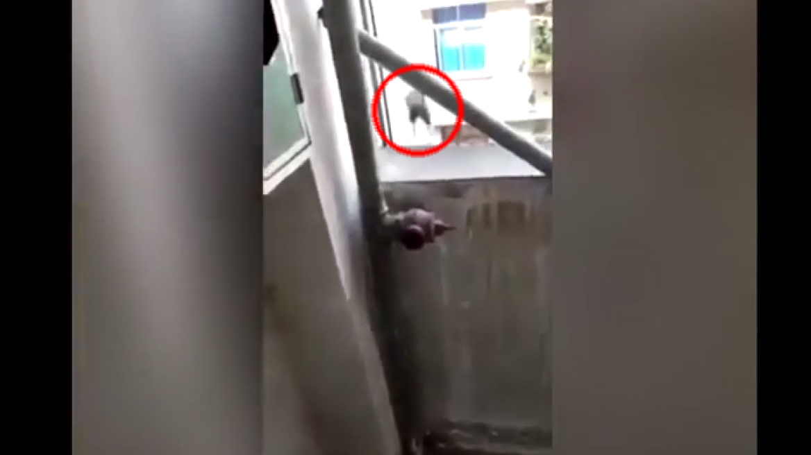 Απίστευτο βίντεο: Αρουραίος αυτοκτονεί για να γλιτώσει τα... χειρότερα!