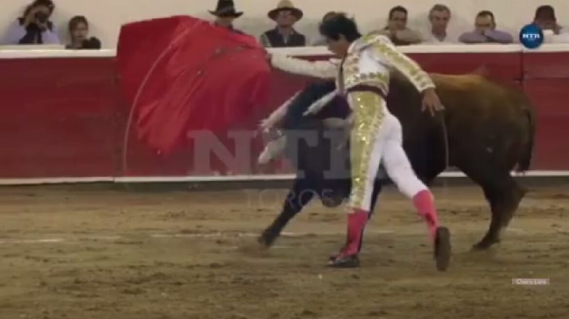 Bull fighter gored in testicles! (shocking video)