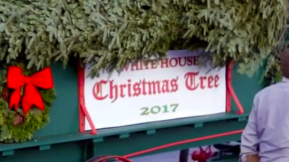 To χριστουγεννιάτικο δέντρο της Melania Trump χρειάστηκε γερανό για να μπει στο Λευκό Οίκο