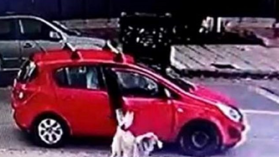 Θεσσαλονίκη: Ασυνείδητη οδηγός παρατά τον σκύλο της μέσα στο δρόμο