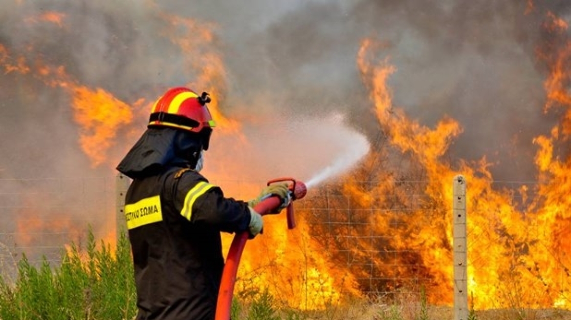 Κρήτη: Μάχη με τις φλόγες των πυροσβεστών κόντρα στους ανέμους