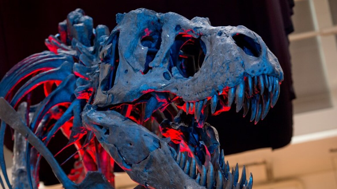 Η απόκοσμη «φωνή» του τυραννόσαυρου ρεξ ακούστηκε για πρώτη φορά μετά από 66 εκατ. χρόνια
