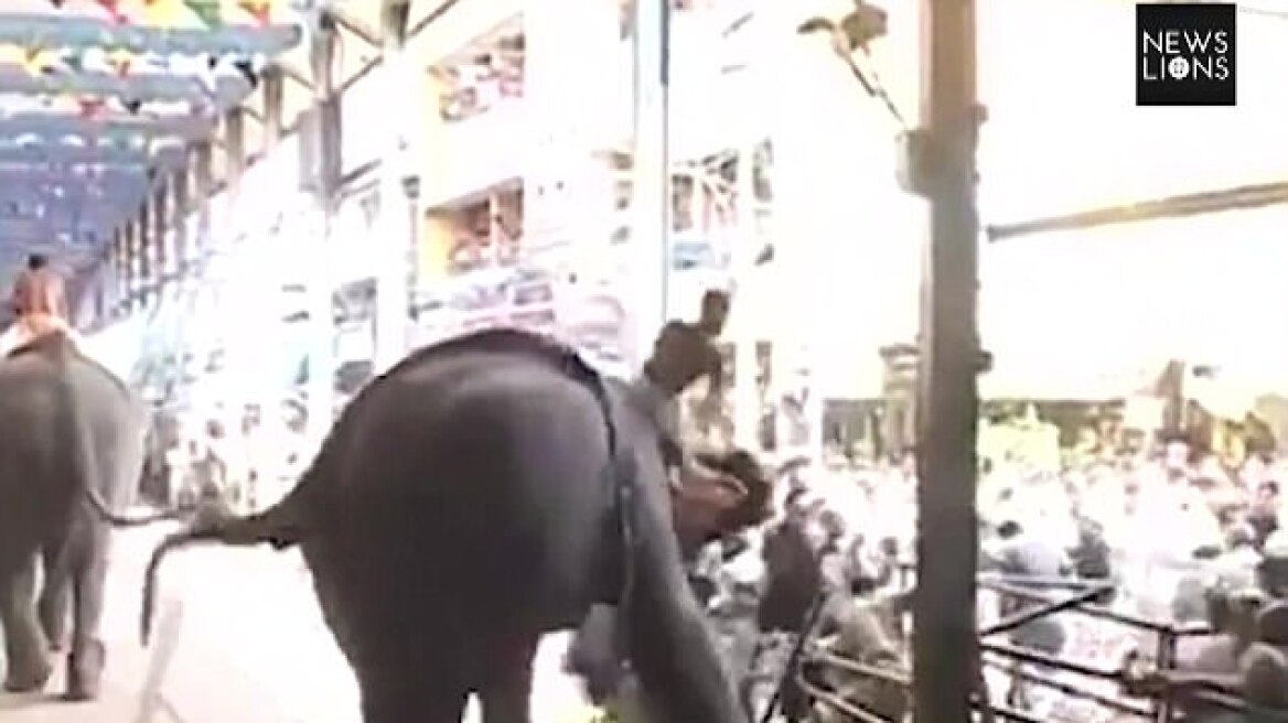 Βίντεο: Ελέφαντας σε αμόκ σκότωσε έναν και τραυμάτισε 12 πιστούς στην Ινδία