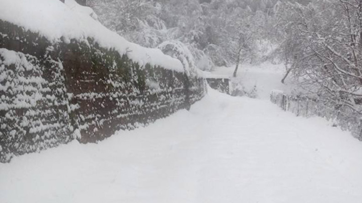 Καλάβρυτα: Χωρίς ρεύμα και νερό εν μέσω χιονιά το χωριό Αροανία