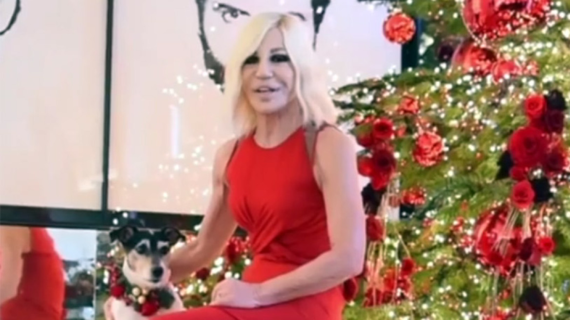 Ο σκύλος της Donatella Versace φοράει χριστουγεννιάτικο φούτερ
