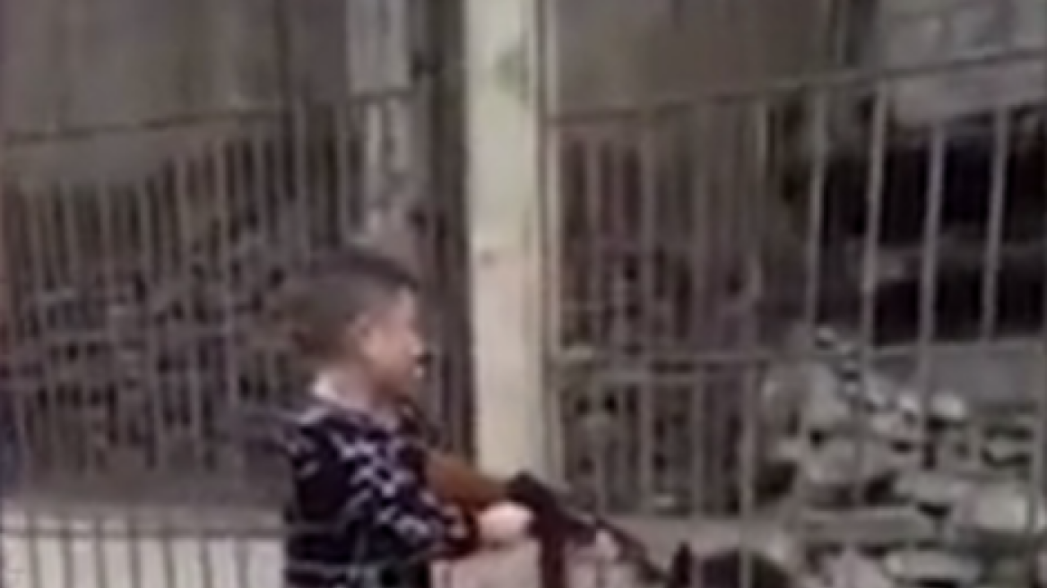 Βίντεο-σοκ: Κινέζος τουρίστας εκτελεί εν ψυχρώ με αυτόματο φυλακισμένη αρκούδα