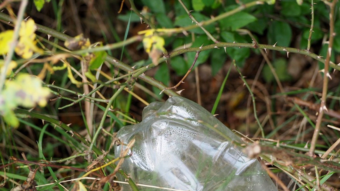 plasti-bottles