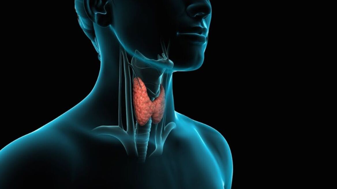 thyroid-doctor